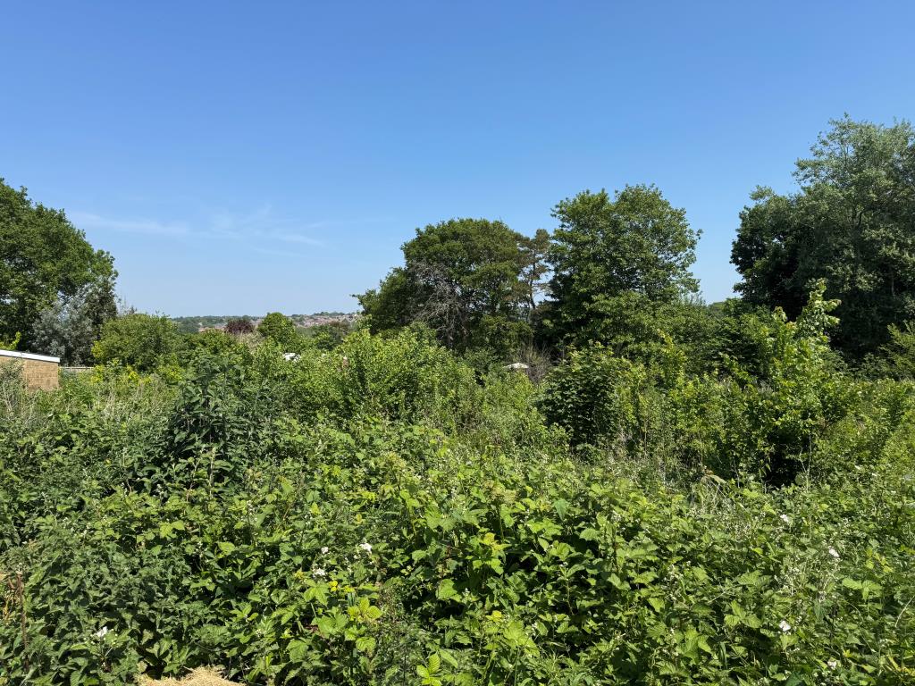 Lot: 28 - APPROXIMATELY THREE QUARTERS OF AN ACRE OF FREEHOLD LAND WITH POTENTIAL - Showing the Site From the Service Road